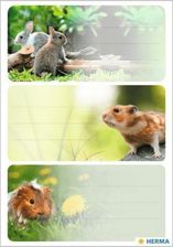 Zdjęcie Naklejki Szkolne Gryzionie 9Szt Herma - Swarzędz