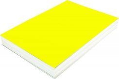 Zdjęcie Argo Karton Do Bindowania Błyszczący A4 Chromolux Żółty 250G/M2 100Ark (408071) - Katowice