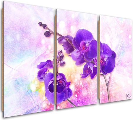 Feeby Obraz Trzyczęściowy Deco Panel Fioletowy Kwiat Orchidei 120x80 1492890