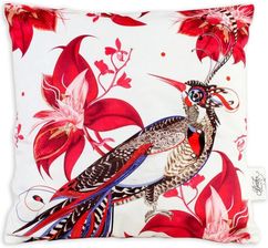 Zdjęcie Sampla Poduszka Koliber Bożka Rydlewska 39x39 Cm 168458 - Płock