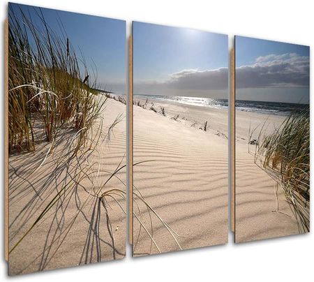 Feeby Obraz Trzyczęściowy Deco Panel Wydmy Na Plaży 60x40 1586933