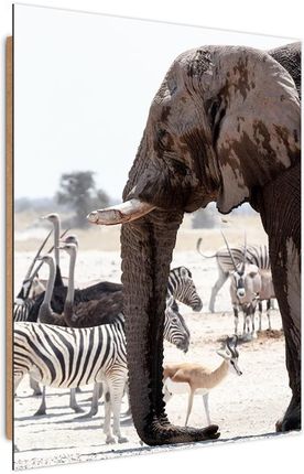 Feeby Obraz Deco Panel Zwierzęta Na Sawannie Słoń Zebry Strusie Antylopy 40x60 1587462