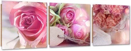 Feeby Zestaw Obrazów Deco Panel 3 Różowe Róże 150x50 1586847