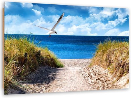 Feeby Obraz Deco Panel Ścieżka Na Plażę I Mewa 100x70 1587338