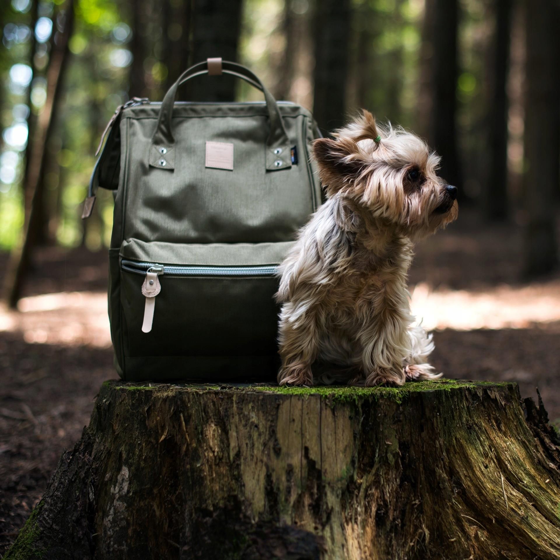 Plecak Himawari No 26 Urban Xl Podróżny Tr20309 4 - Ceny i opinie