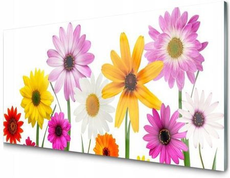 Decoroutlet Panel Szklany Kolorowe Kwiaty 100x50