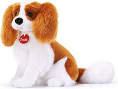 Zdjęcie Trudi Pluszak Pies Cavalier King - Tarczyn