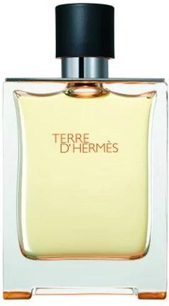Hermes Terre D'Hermes Woda Toaletowa 100 ml TESTER