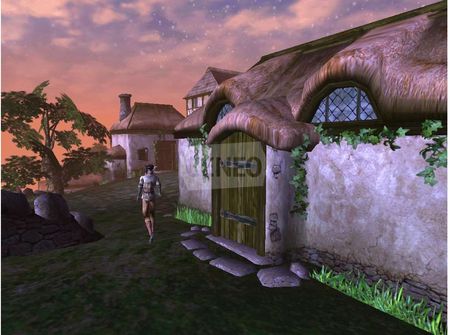 The Elder Scrolls III Morrowind (Gra PC) - Ceneo.pl