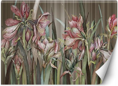 Feeby Kwiaty Amarylisa 250x175