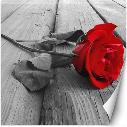 Feeby Czerwona Róża Na Stare Deski 100x100