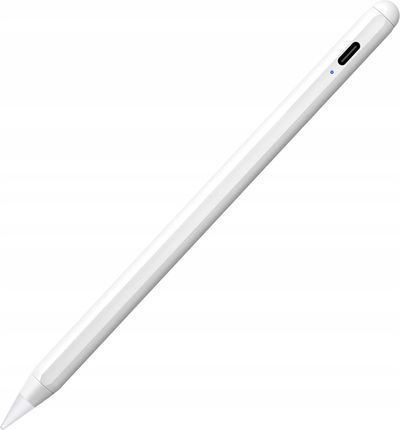 Co2 Rysik Stylus Pencil Do Apple Ipad Air Pro Gen 2 (CO20127)