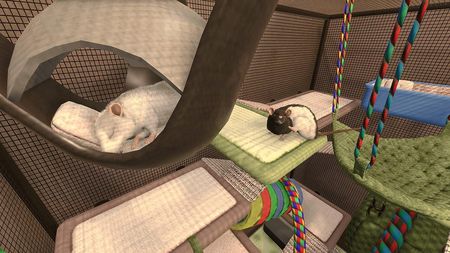 House Flipper Pets Edition (Gra PS4) - zdjęcie 2