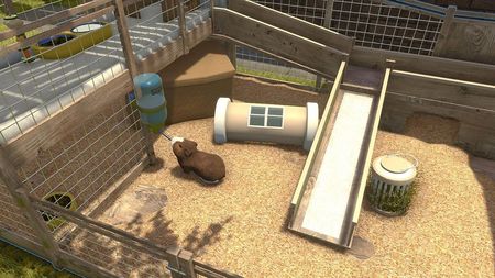 House Flipper Pets Edition (Gra PS4) - zdjęcie 5