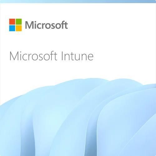 Program biurowy Microsoft Intune Plan 1 Storage Add-On - subskrypcja ...