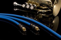 Zdjęcie Albedo BLUE RCA - Sulejówek