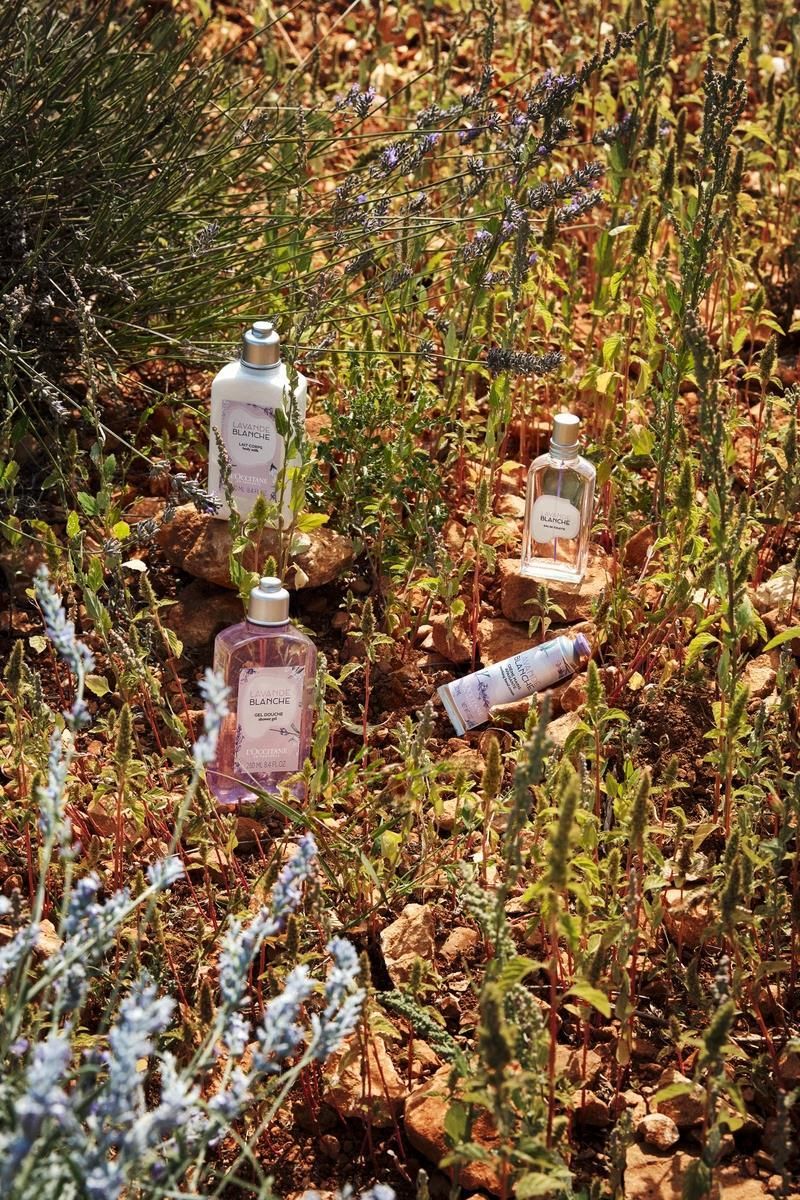 peaceけ】LAVANDE BLANCHE Lavande Blanche (Formerly White Lavender