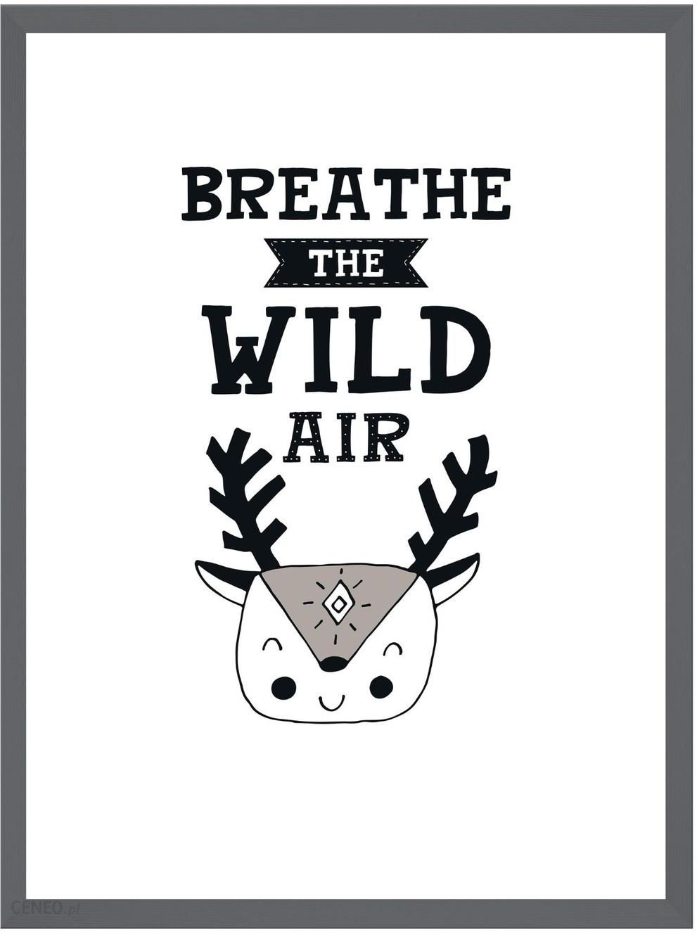 Plakat Dziecięce Breathe The Wild Air 21X29,7 Cm + Ramka Kamienna ...