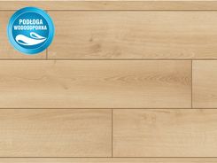 Zdjęcie Classen Floors Classen Dąb Austin 12mm AC5 6729099 - Gołdap