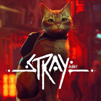Stray (Xbox One Key)