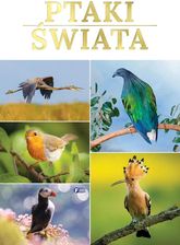 Zdjęcie Ptaki świata - Golub-Dobrzyń