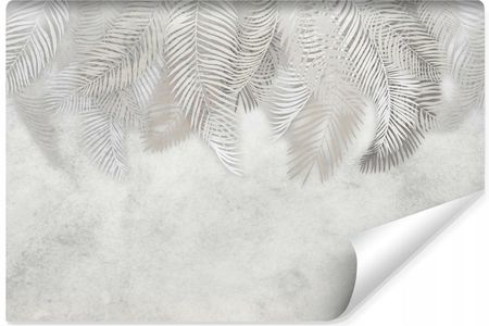 Muralo Liście Palmowe Beton Abstrakcja Rośliny 180x120