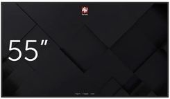 Zdjęcie Avtek Monitor informacyjny DS 55 + moduł WiFi/BT (1TV313) - Gryfino