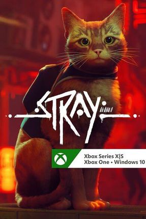 Stray (Xbox Series Key)
