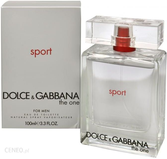 dolce and gabbana the one sport for men