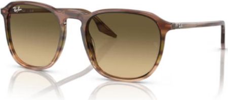 Okulary przeciwsłoneczne Ray-Ban® 2203 13920A 55