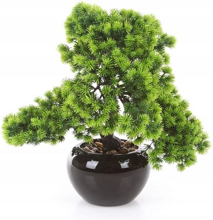 Sztuczne Drzewka Bonsai Larch 37 W Czarna Doniczka - Opinie i atrakcyjne  ceny na Ceneo.pl