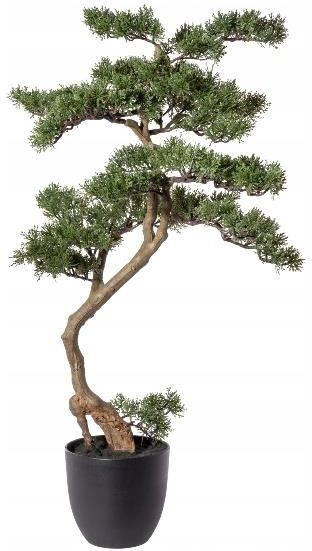 Due Solidne Sztuczne Drzewko Bonsai Cedr 100Cm - Opinie i atrakcyjne ceny  na Ceneo.pl