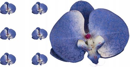 Dalia-Rp Storczyk Orchidea Główka Kwiatowa Niebieska 6 Szt