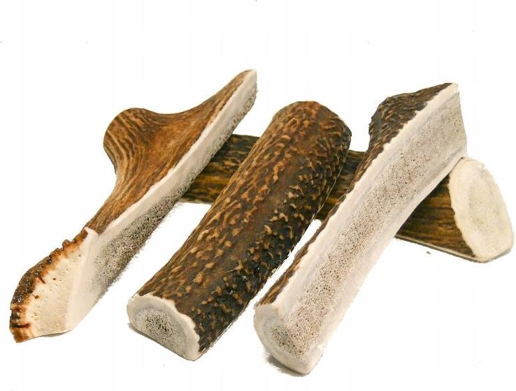 Corno Di Cervo Per Cani Osso Da Masticare 100% Naturale Taglia XL (221 - 8