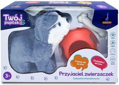 Zdjęcie Askato Piesek Na Baterie Z Akcesoriami - Cieszyn