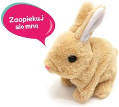 Zdjęcie Askato Króliczek Na Baterie Z Akcesoriami - Otyń
