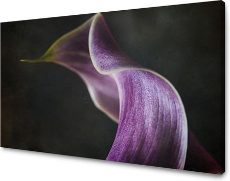 Mpink Obraz Na Płótnie Botanika Kwiat Fioletowy Płatek 120X70 Cm 3638