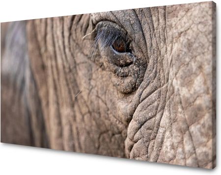 Mpink Obraz Na Płótnie Zwierzęta Oko Słonia 120X60 Cm 2877