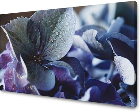 Mpink Obraz Na Płótnie Botanika Niebieska Hortensja 90X60 Cm 3690