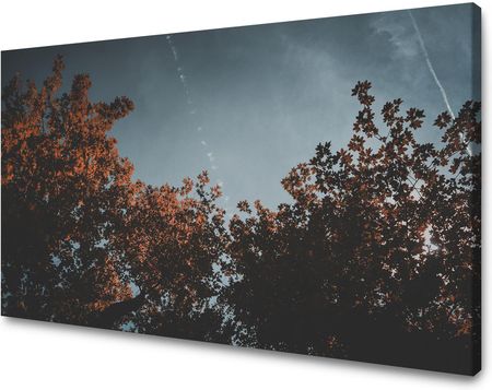 Mpink Obraz Na Płótnie Natura Pomarańczowe Korony Drzew 100X60 Cm 3999