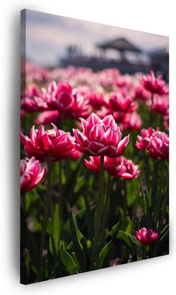 Mpink Obraz Na Płótnie Botanika Tulipany 60X100 Cm 4255