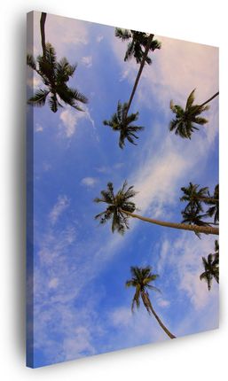 Mpink Obraz Na Płótnie Natura Palmy Kokosowe 60X100 Cm 5060