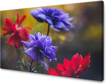 Mpink Obraz Na Płótnie Botanika Kwiaty 100X80 Cm 3020