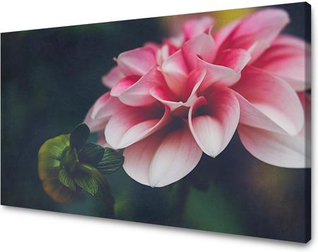 Mpink Obraz Na Płótnie Botanika Różowa Dalia 100X80 Cm 3704