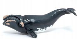 Zdjęcie Papo Figurka Waleń Młody 56057 - Sucha Beskidzka
