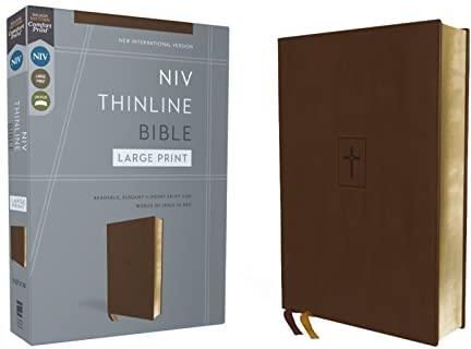 NIV Thinline Bible, Red Letter, Comfort Print [Blue]