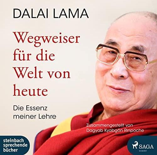 Płyta kompaktowa Dalai & Lama - Wegweiser Für Die Welt Von Heute - Die Essenz Meiner Lehre (2CD 