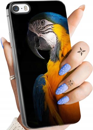 Hello Case Etui Do Iphone 5 5S Se Papuga Papużka