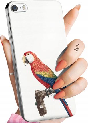 Hello Case Etui Do Iphone 5 5S Se Ptaki Obudowa