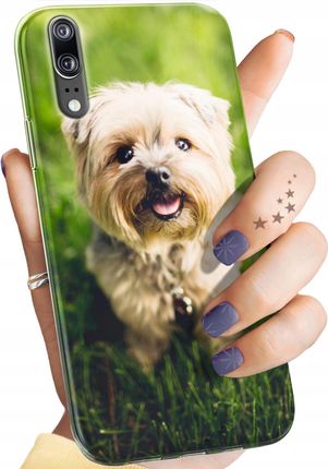Hello Case Etui Do Huawei P20 Pro Pieski Psiaki Dogs